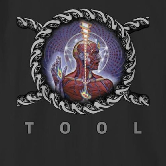 Tool Band Lateralus Album Rock Music 90s Tour Concert Fan Graphic Vintage Shirt - Picture 2 of 5